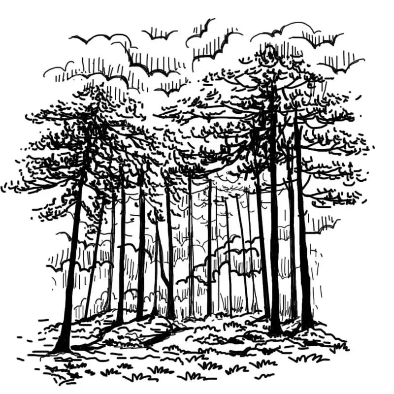 Daringbadi