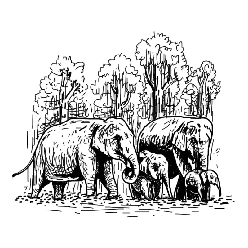 Satkosia