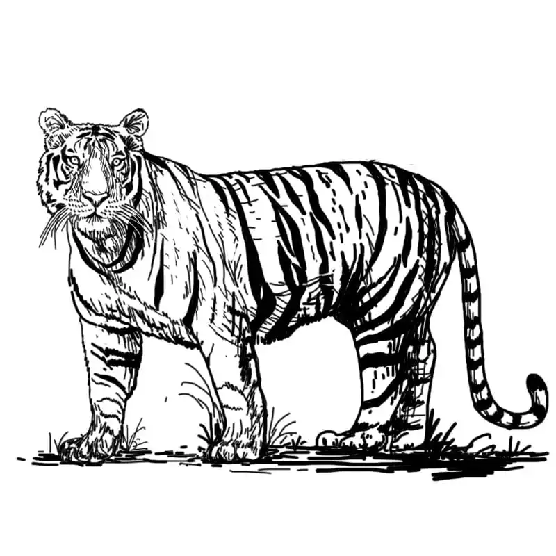 Simlipal